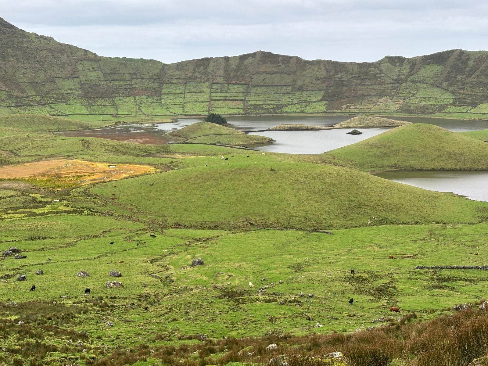 Azores hiking and food experience November 2026